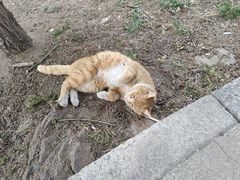 -贮水山儿童公园