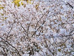 -杨高南路(地铁站)