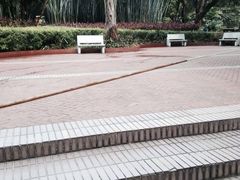 -晓港公园