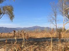 -野鸭湖国家湿地公园