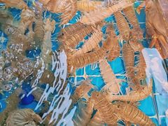 -四川小胡子海鲜(丁村万人海鲜广场店)