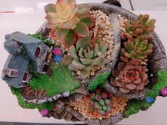 -上海和展广汽丰田4S店(老闵行店)
