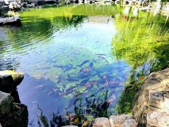 -济南大明湖景区