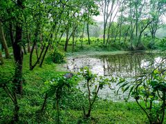 -西溪国家湿地公园