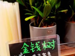 -VT101维多利广场