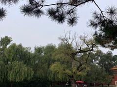 -北陵公园