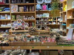 -宠物兔专门店(天丰利市场店)