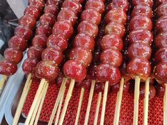 -糖葫芦王保定名吃(古莲花池店)