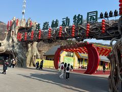 -大连森林动物园