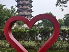 -葛仙湖公园
