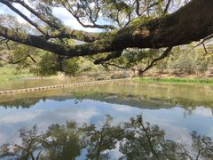 -云水谣景区