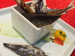 -欢乐海岸美食联盟