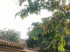 -晋江五店市传统文化旅游区