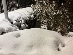 -西二旗(地铁站)