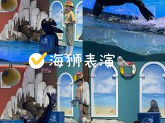 -重庆欢乐海底世界