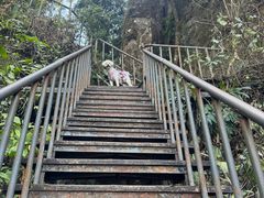 -七仙岭温泉国家森林公园