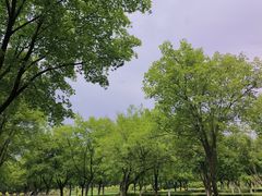 -北陵公园