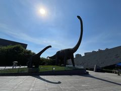 -安徽省地质博物馆