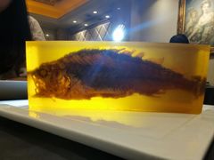 -A One Kitchen·南京精菜馆(晶丽酒店店)