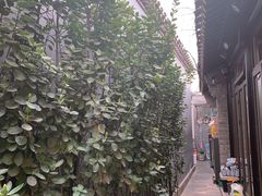 -四喜小胖·北京涮肉(五道营店)