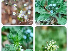 -湖洞水自然风景区