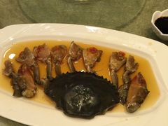 -新花城蟹粉馆(乌鲁木齐店)