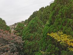 -石门坊