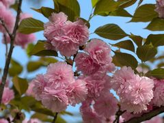 -重庆中央公园(渝北区)