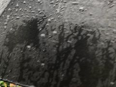-枫露马术学院(藏书校区)