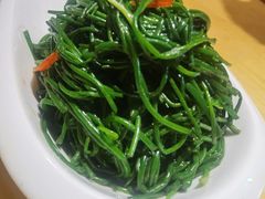 -蒙料·手把肉(望京店)