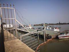 -大湾区中央湿地公园-十九涌