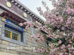 -济南国际园博园