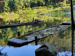 -深圳仙湖植物园