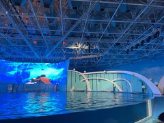 -海合安青岛极地海洋公园