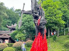 -都江堰景区