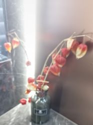 -禾丽康美医疗美容医院