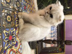 迷途主题旅馆-广州迷途主题旅馆(海珠广场店)