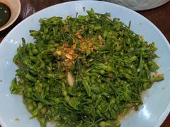 夜兰花-Ngoc Chau Garden