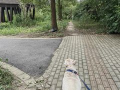 -广富林郊野公园