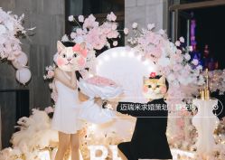 -迈瑞米求婚策划(静安店)