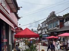 -才村湿地公园