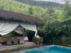 -看见远方·莫干遥远的山民宿