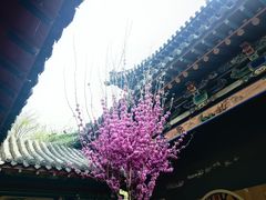 -碑林公园