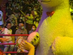 -俄罗斯国家大马戏团