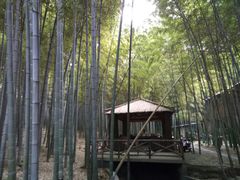 -宝岩生态观光园