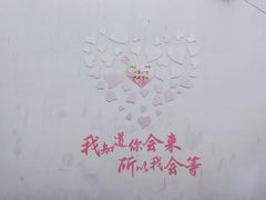 -琴岛之星摩天轮
