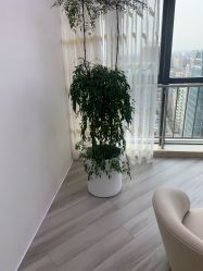 -HEYAN荷妍专业脱毛连锁机构