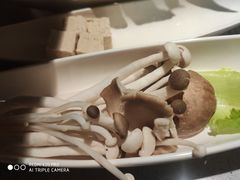 香菇-海底捞火锅(同泰时代广场夜宵主题店)