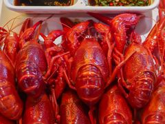 -霸王虾·麻辣小龙虾(清水河公园店)