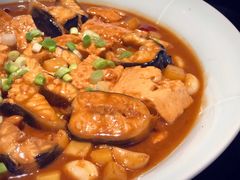 -子福慧(虹桥店)